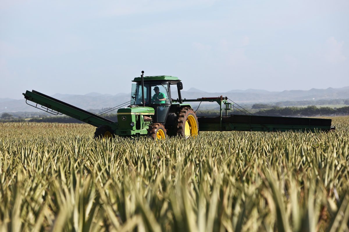 John Deere in Field